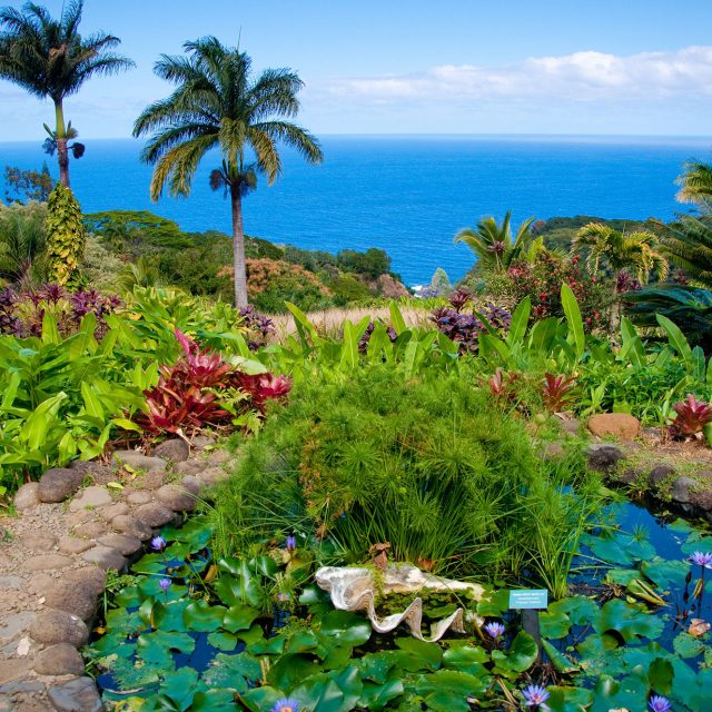 Kula Botanical Gardens Maui